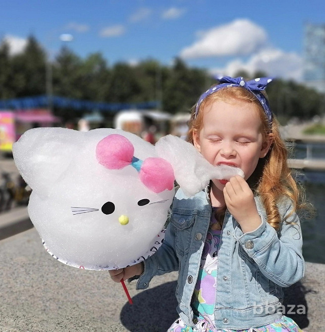 Аппарат для сладкой ваты CANDYMAN GAS (газовый) настольный Санкт-Петербург - изображение 9