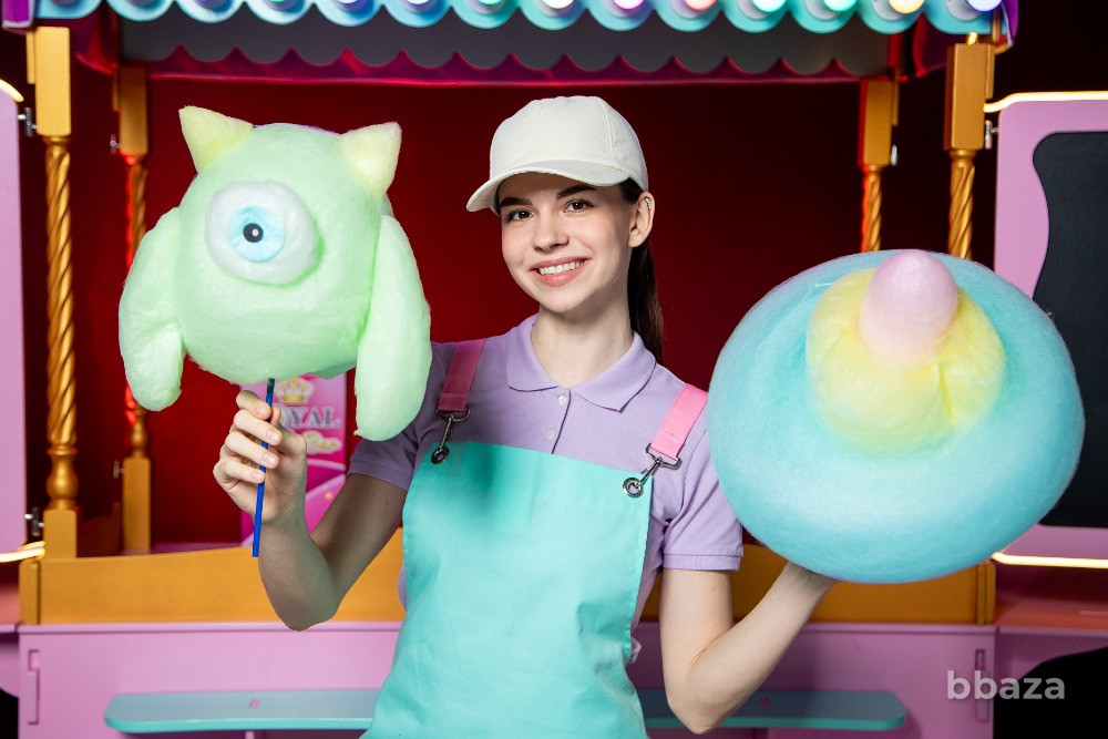 Аппарат для сахарной ваты CANDYMAN ELECTRO (электрический) профессиональный Санкт-Петербург - изображение 8