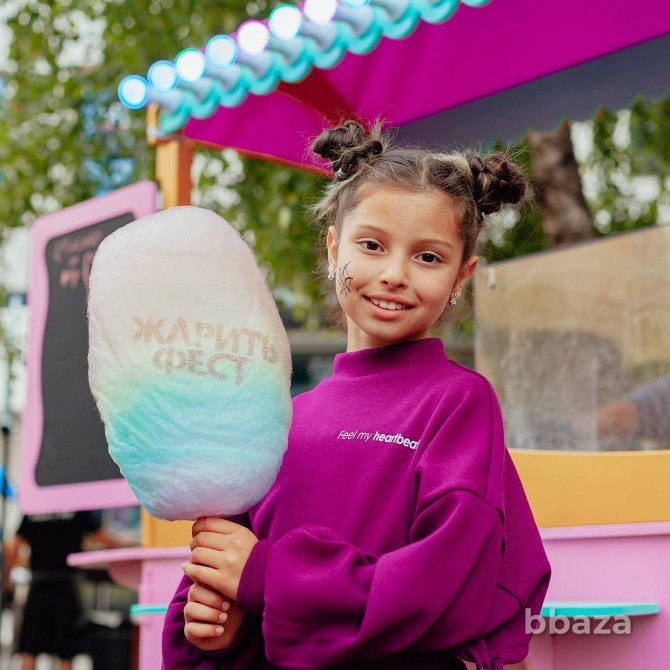 Аппарат для сахарной ваты CANDYMAN ELECTRO PRO (электрический) Санкт-Петербург - изображение 8