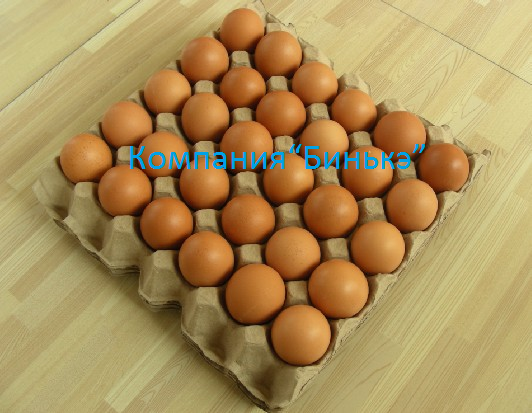 Линия по производству бугорчатой прокладки для яиц Москва