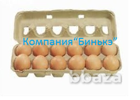 Линия по производству бугорчатой прокладки для яиц Москва - изображение 3