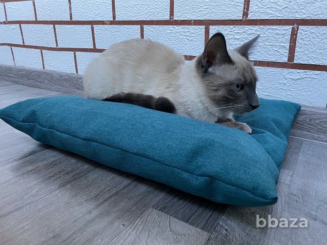 Подушка лежанка Barbaris для кошек Turquoise Хабаровск - photo 3