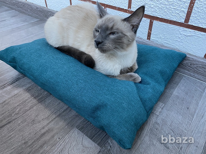 Подушка лежанка Barbaris для кошек Turquoise Хабаровск - photo 2