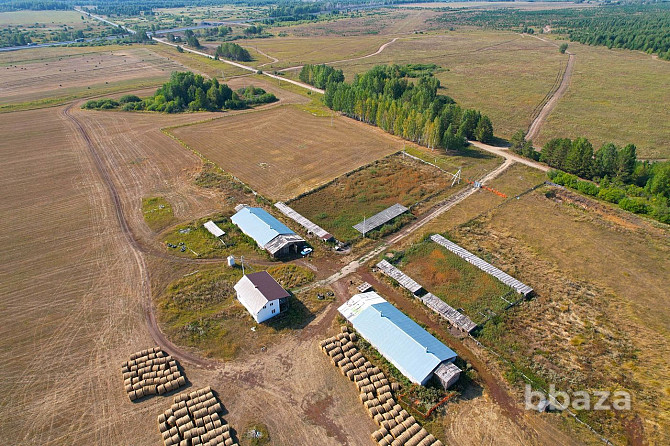Продажа сельскохозяйственной фермы и 354 Га земли Тюбук - изображение 3