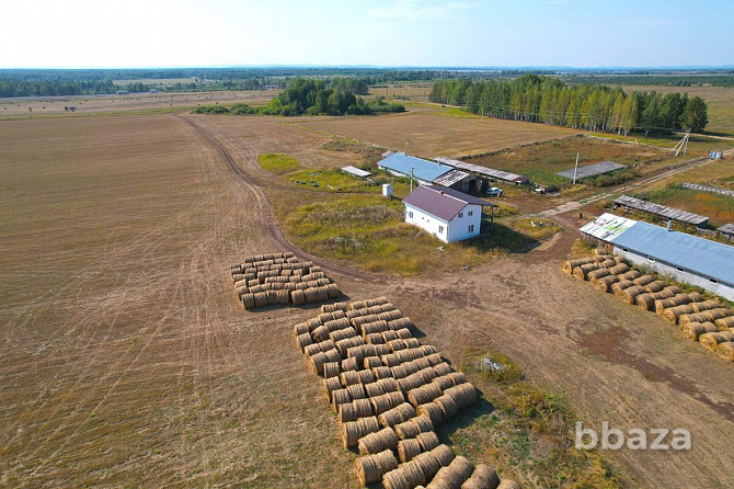 Продажа сельскохозяйственной фермы и 354 Га земли Тюбук - изображение 4