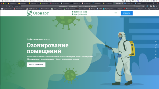 Сайт по продажи услуг дезифекции, дезинсекции и дератизации Санкт-Петербург