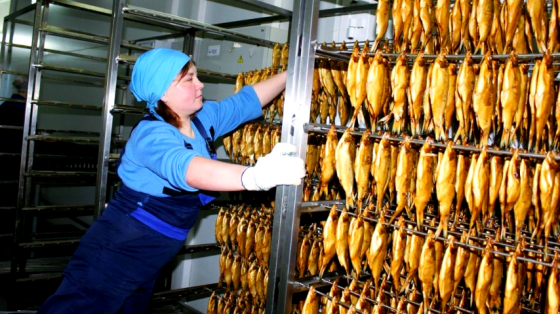 Продам действующее рыбное пищевое производство. 3 млн выручки Санкт-Петербург