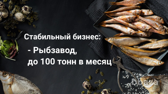 Продам действующее рыбное пищевое производство. 3 млн выручки Краснодар - photo 1