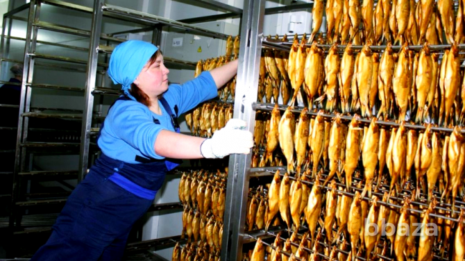 Продам действующее рыбное пищевое производство. 3 млн выручки Краснодар - photo 3