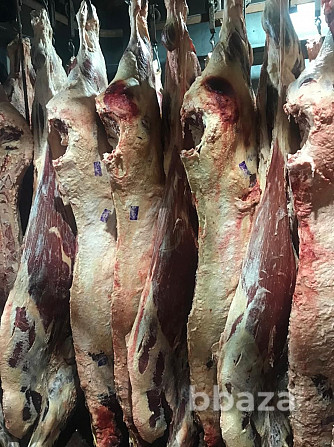 продаем мясапродукцию Комсомольск-на-Амуре - photo 1