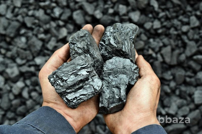Уголь с доставкой Новосибирск - изображение 1