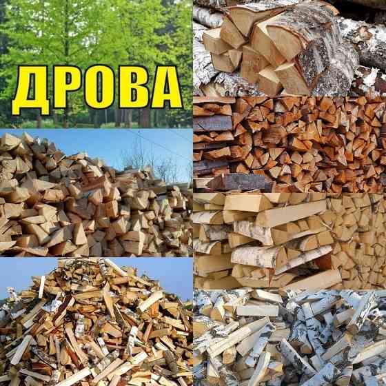 Сотрудничество по дровяной березе Владимир