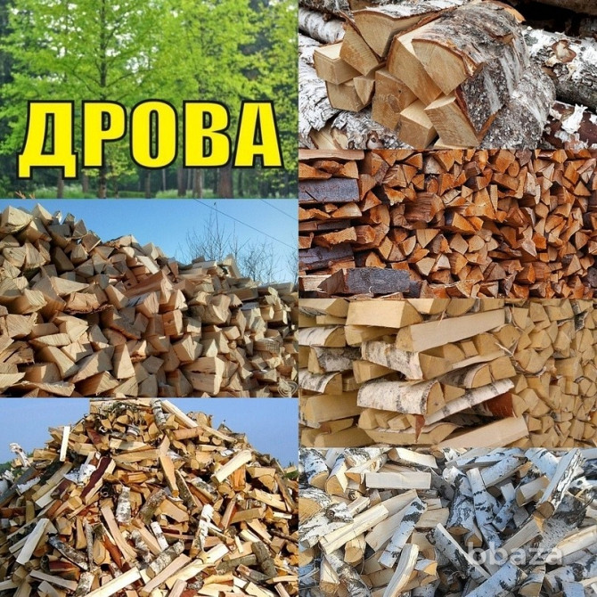 Сотрудничество по дровяной березе Владимир - photo 1