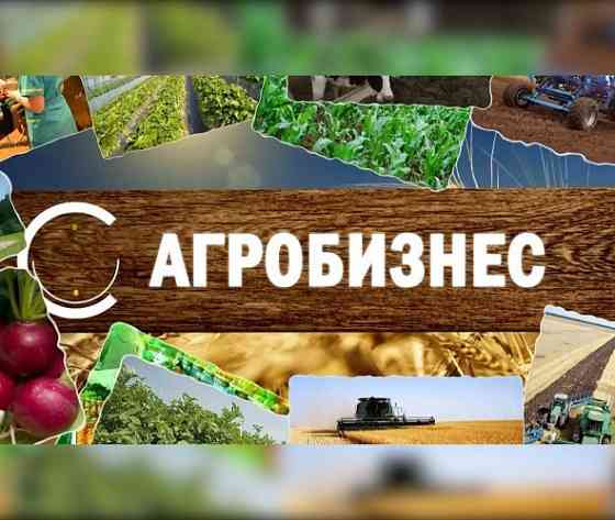 Аграрный бизнес Москва