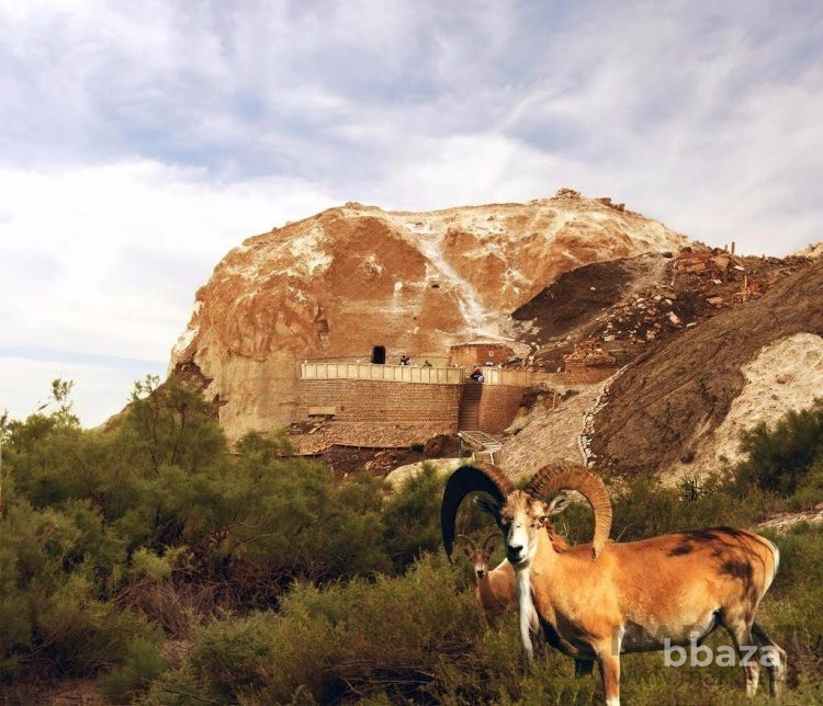 Такси Актау по святым местам Бекет ата (Шопан ата) Караман ата. Актау - изображение 1