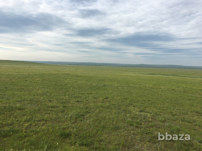 Продажа земельного участка с/х назначения (57600Га) Забайкальск - изображение 1