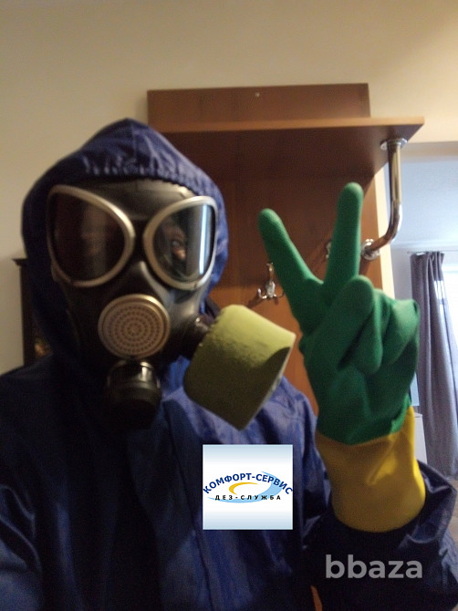 Уничтожение короеда в Орле холодным туманом Орел - изображение 5