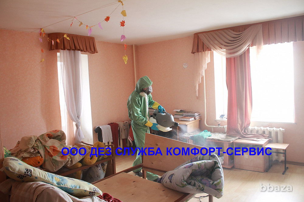 Уничтожение короеда в Орле холодным туманом Орел - изображение 4