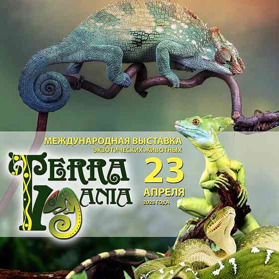 Выставка экзотических животных "TerraMania" Москва