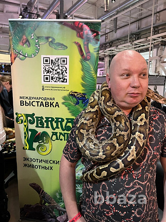 Выставка экзотических животных "TerraMania" Москва - photo 2