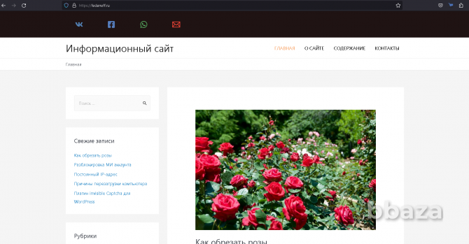 Продам информационный сайт+домен Краснодар - photo 1