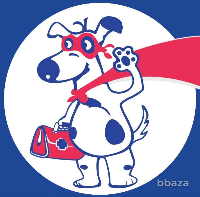 Ветеринар к Вам на дом Санкт-Петербург - изображение 2