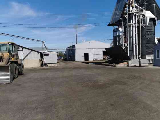 Продажа масло завода Краснодар