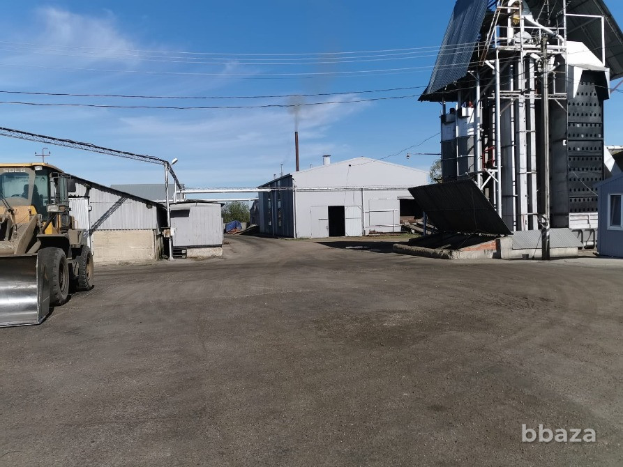 Продажа масло завода Краснодар - изображение 4