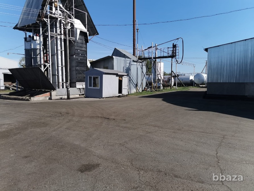 Продажа масло завода Краснодар - изображение 3