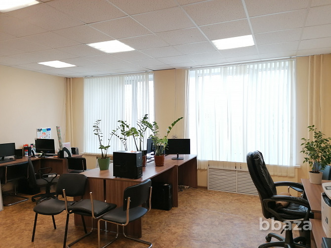 Аренда офиса в Туле на Тургеневской (35кв.м.) Тула - изображение 2