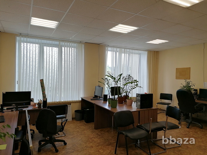 Аренда офиса в Туле на Тургеневской (35кв.м.) Тула - изображение 1