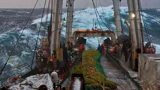 Добыча рыбы и других видов морепродуктов Южно-Сахалинск