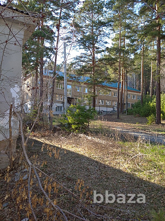 Объект здравоохранения 280 кв.м. (медицинское учреждение) в г. Вишневогорск Вишневогорск - photo 2