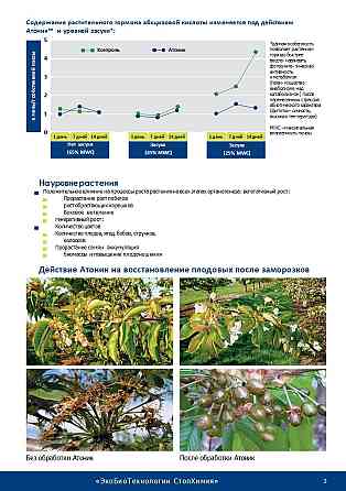 Атоник Плюс водорастворимый порошок 18 грамм ВРП Сочи