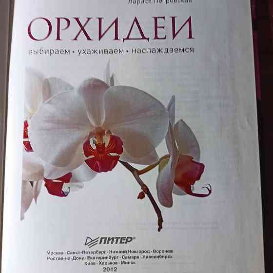 "Орхидеи".Лариса Петровская Калининград