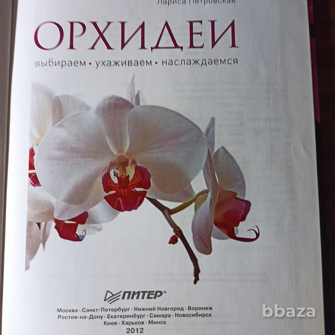 "Орхидеи".Лариса Петровская Калининград - photo 4