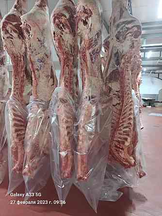 Продаем мясо говядины на экспорт Ярославль
