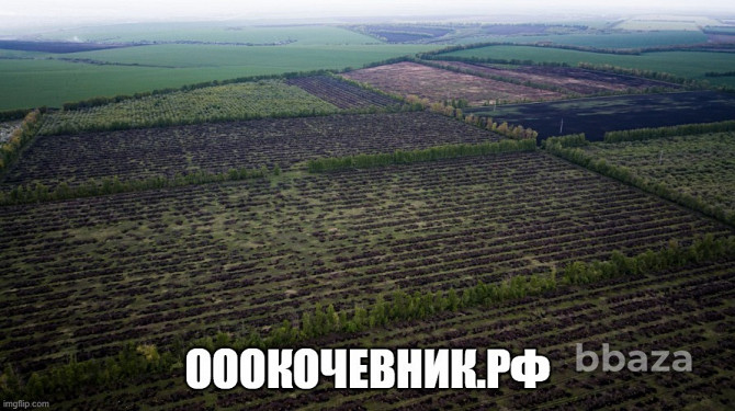 Вырубка деревьев при строительстве разных объектов Москва - photo 7