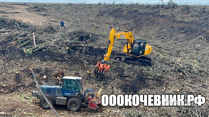 Вырубка деревьев при строительстве разных объектов Москва - photo 6